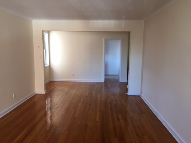  Hillside Avenue  Queens, NY 11415, MLS-RD1671-9