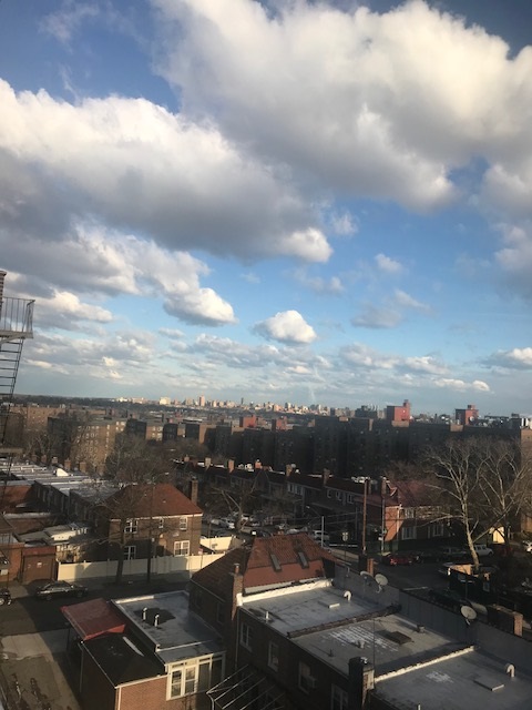  63rd Avenue  Queens, NY 11374, MLS-RD1855-14