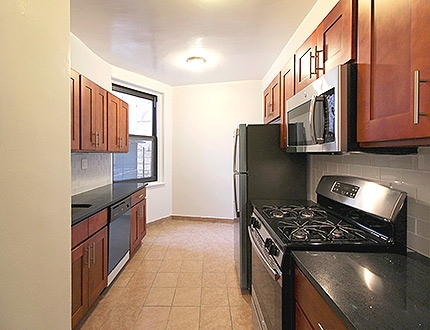 Apartment 165th Street  Queens, NY 11358, MLS-RD1892-2