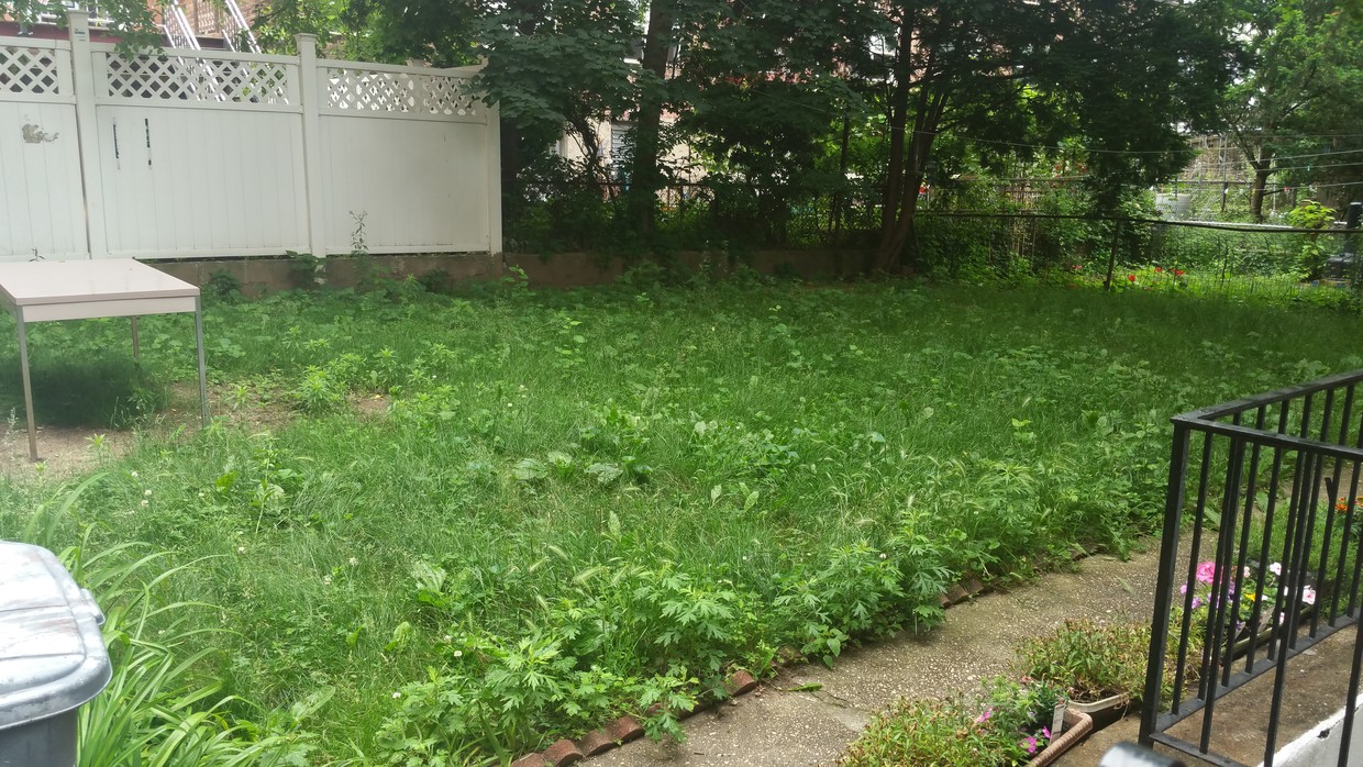 Apartment 62nd Road Queens, NY 11375, MLS-RD2143-5