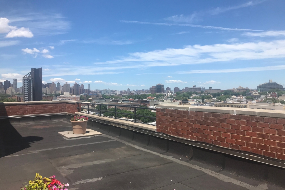 Apartment 31st Drive  Queens, NY 11106, MLS-RD2154-11