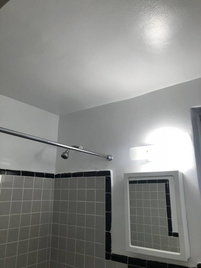 Apartment 64th Avenue  Queens, NY 11374, MLS-RD2157-15