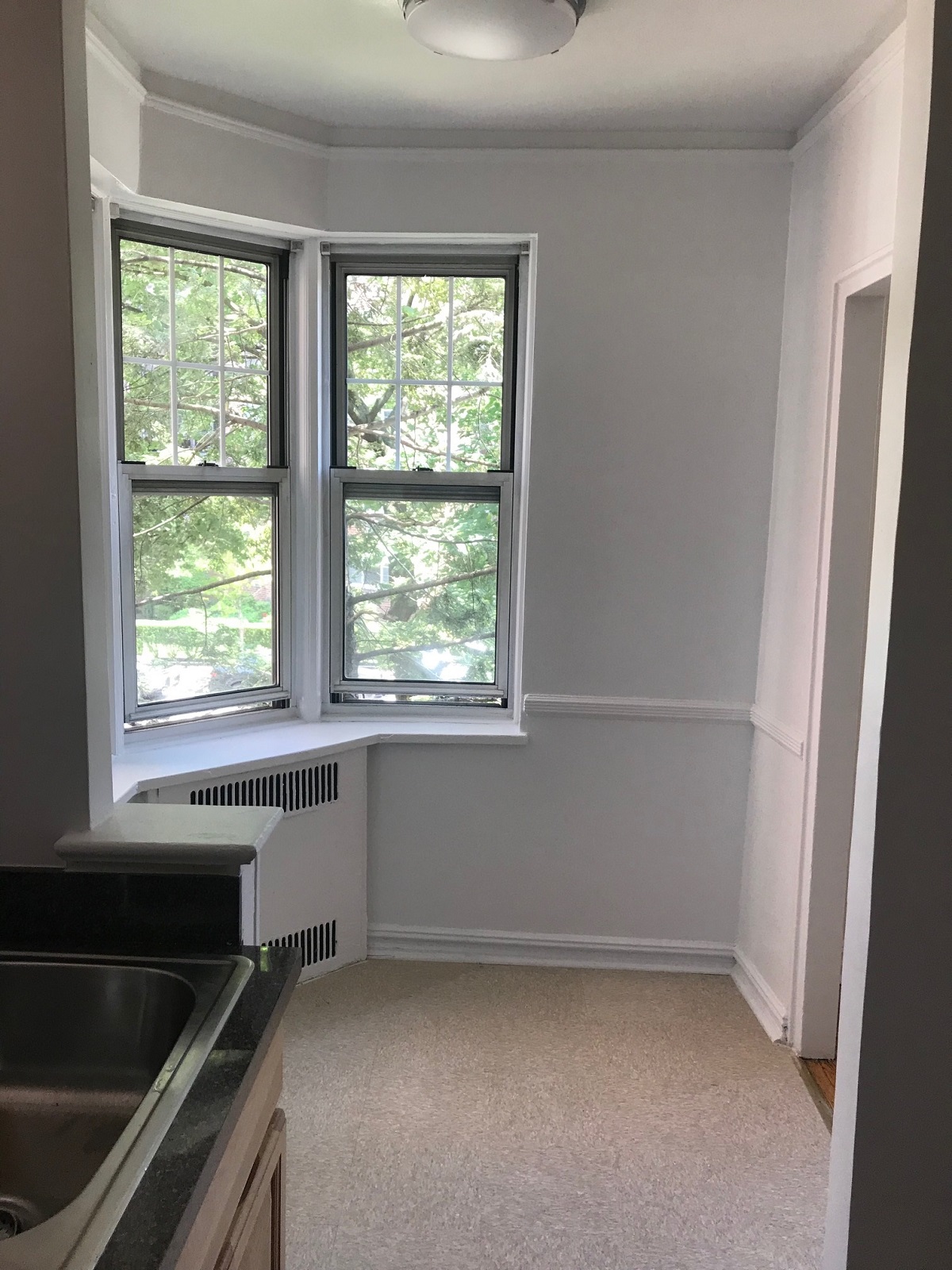 Apartment 108 St  Queens, NY 11375, MLS-RD2219-9