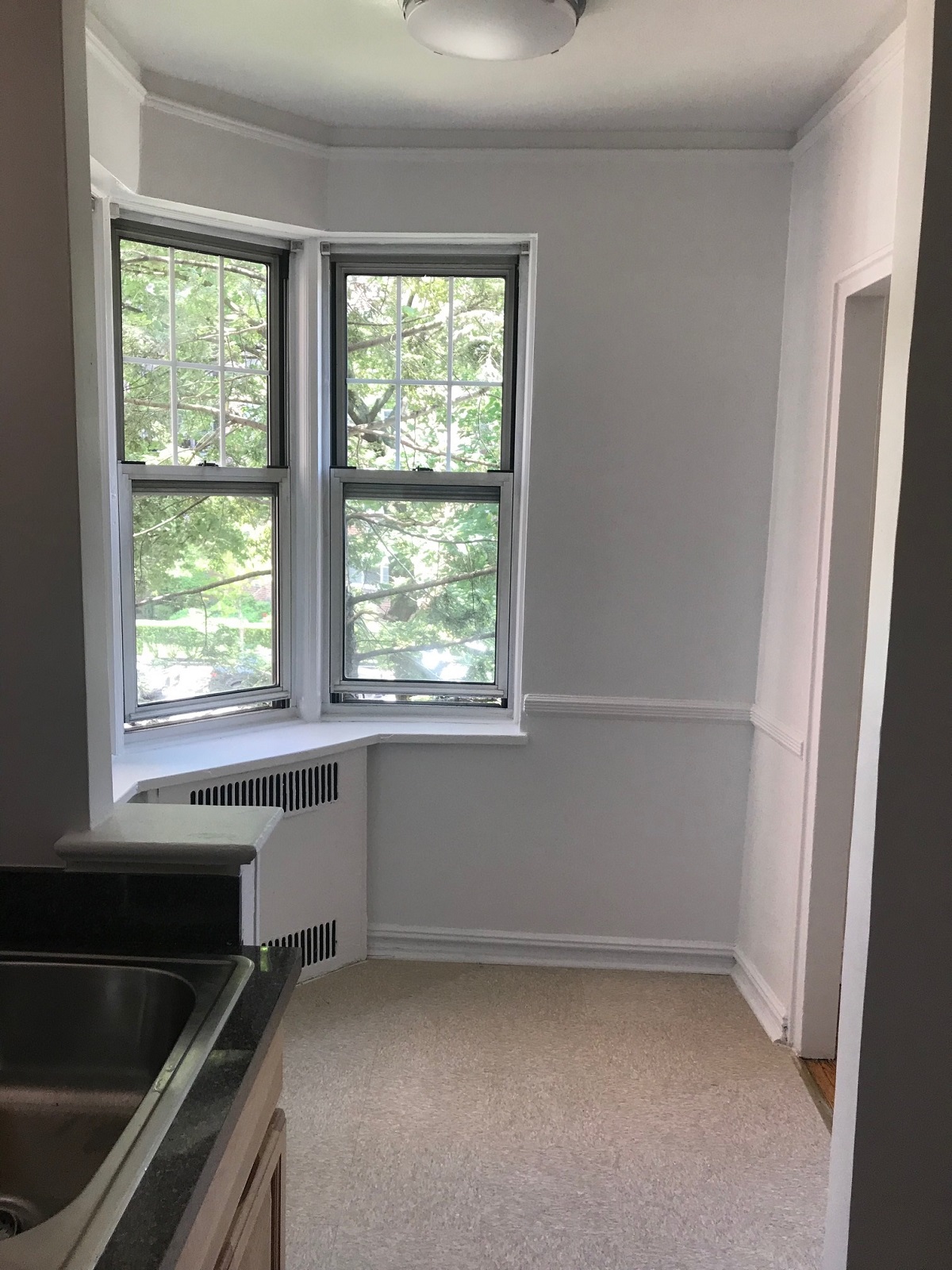 Apartment 108 St Queens, NY 11375, MLS-RD2219-9