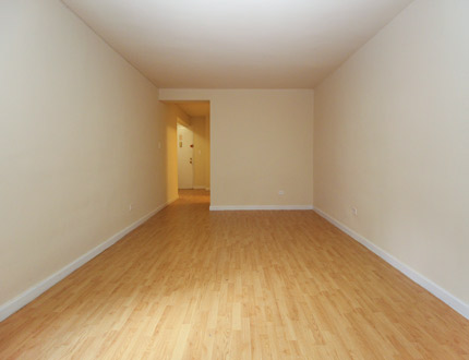 Apartment 147th Street  Queens, NY 11354, MLS-RD2237-4