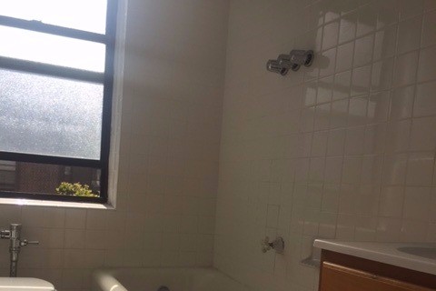 Apartment 66th Avenue  Queens, NY 11374, MLS-RD2273-3