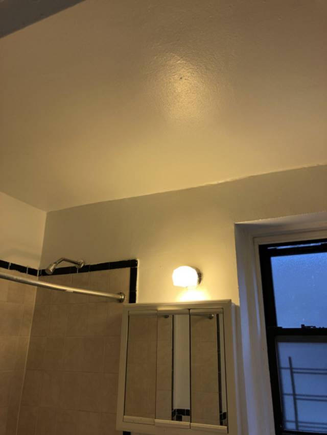 Apartment Hampton Street  Queens, NY 11373, MLS-RD2575-13
