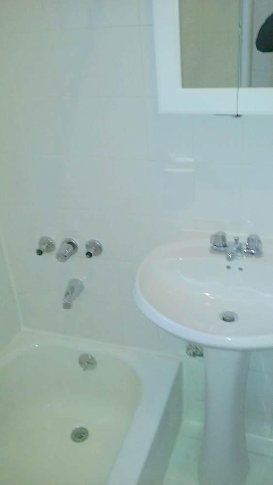 Apartment Steinway Street  Queens, NY 11101, MLS-RD2586-4