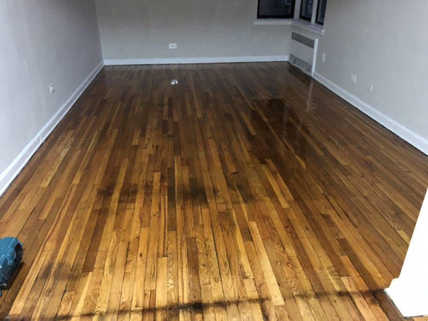 64th Avenue Queens, NY 11374, MLS-RD2680-2