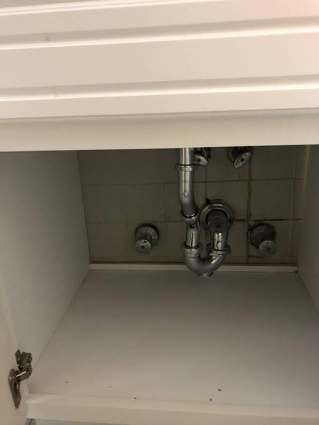 64th Avenue Queens, NY 11374, MLS-RD2680-18