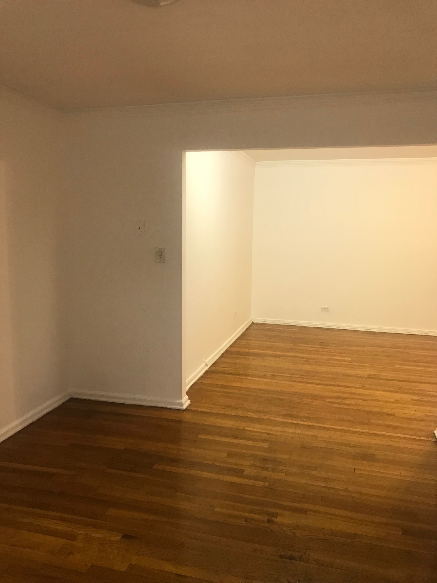 WebID:  RD2737