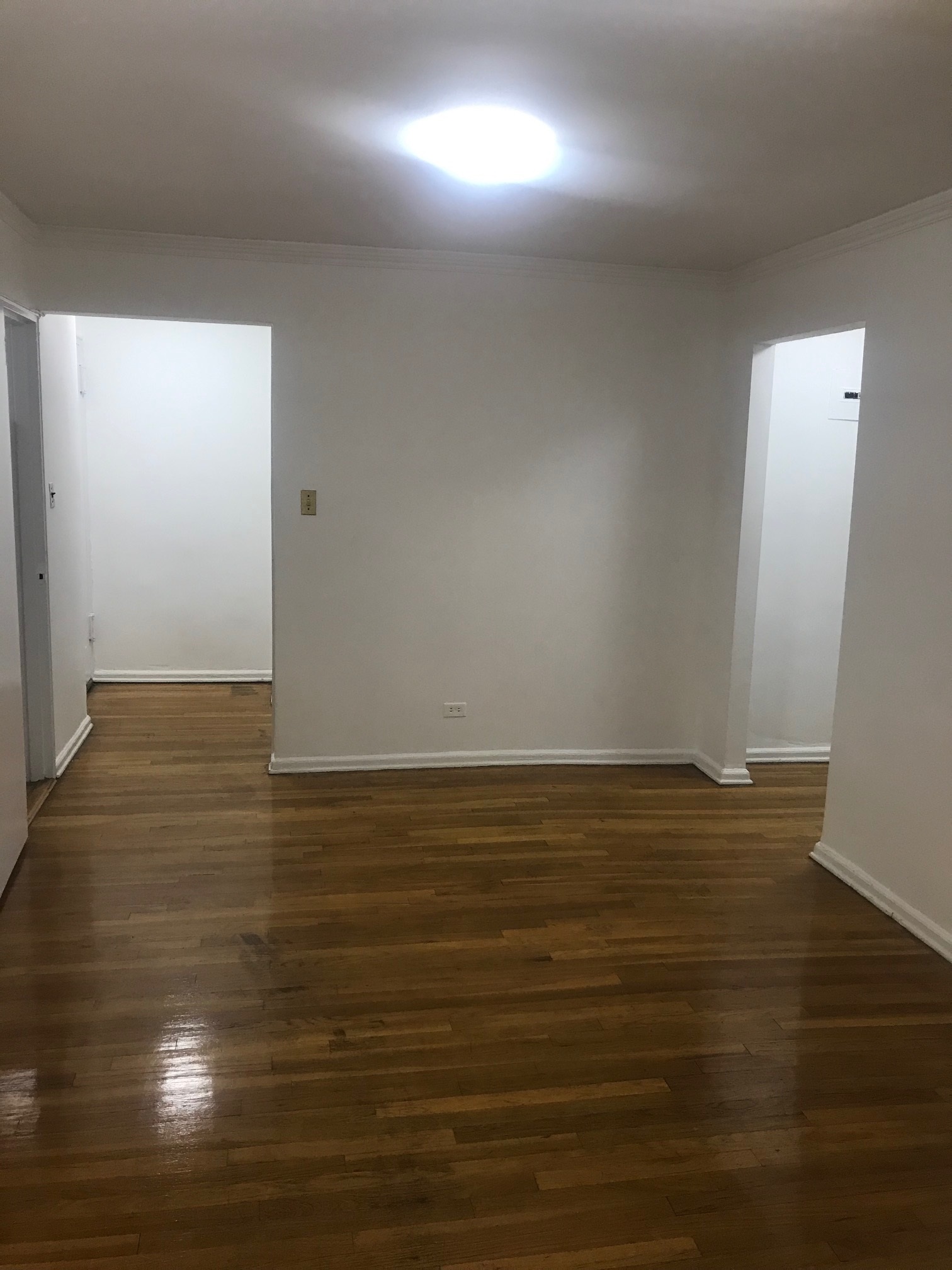 Apartment Metropolitan Avenue  Queens, NY 11415, MLS-RD2737-2