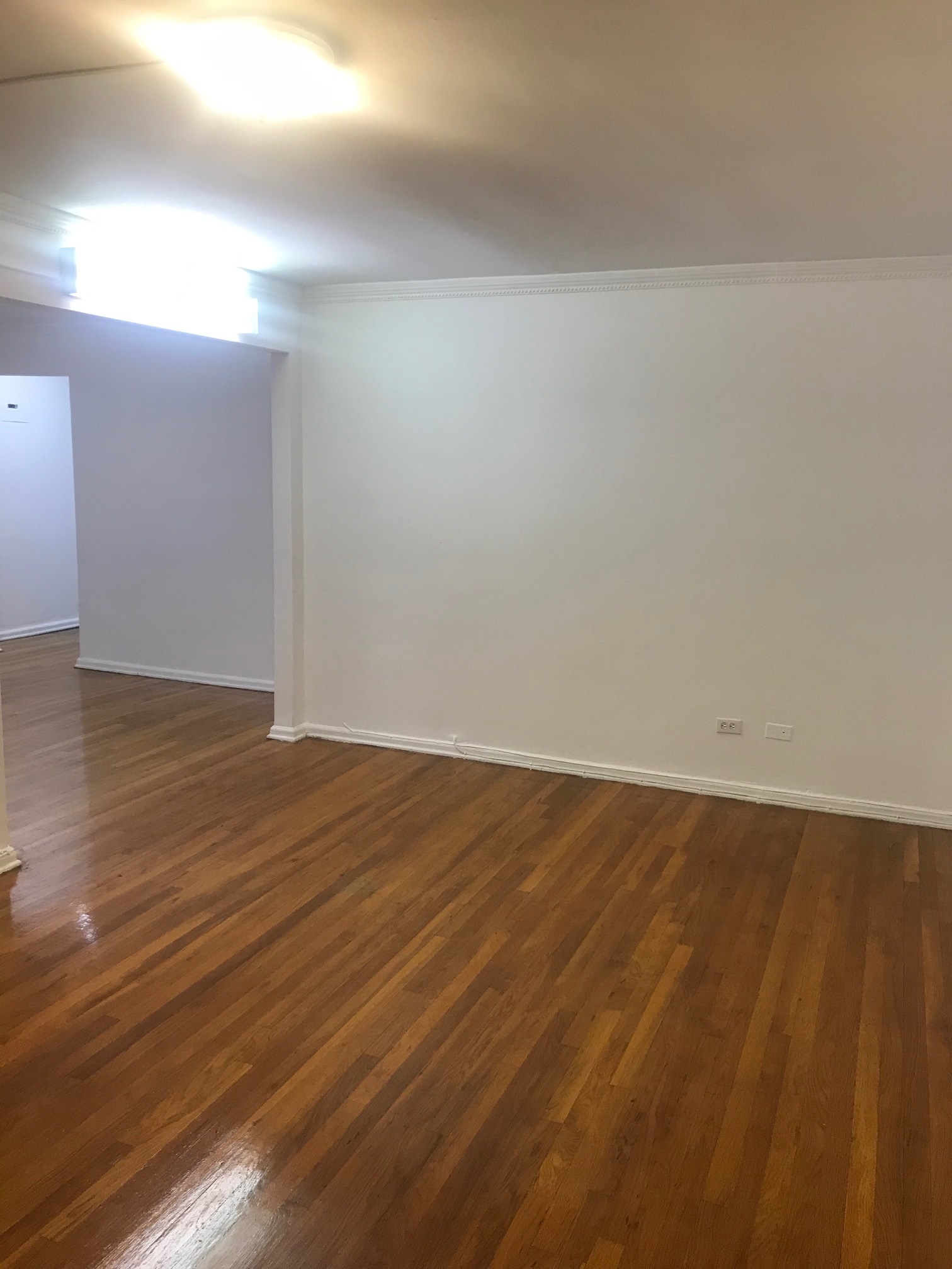Apartment Metropolitan Avenue  Queens, NY 11415, MLS-RD2737-4