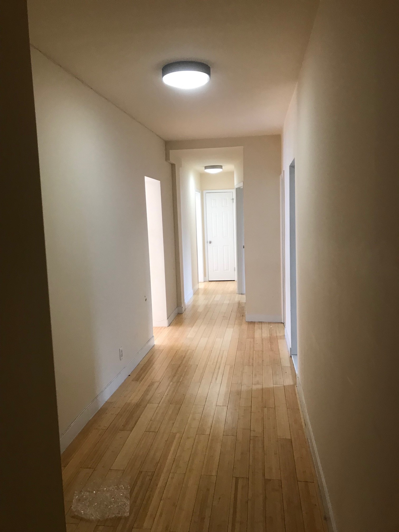 Apartment Metropolitan Ave  Queens, NY 11415, MLS-RD2806-4