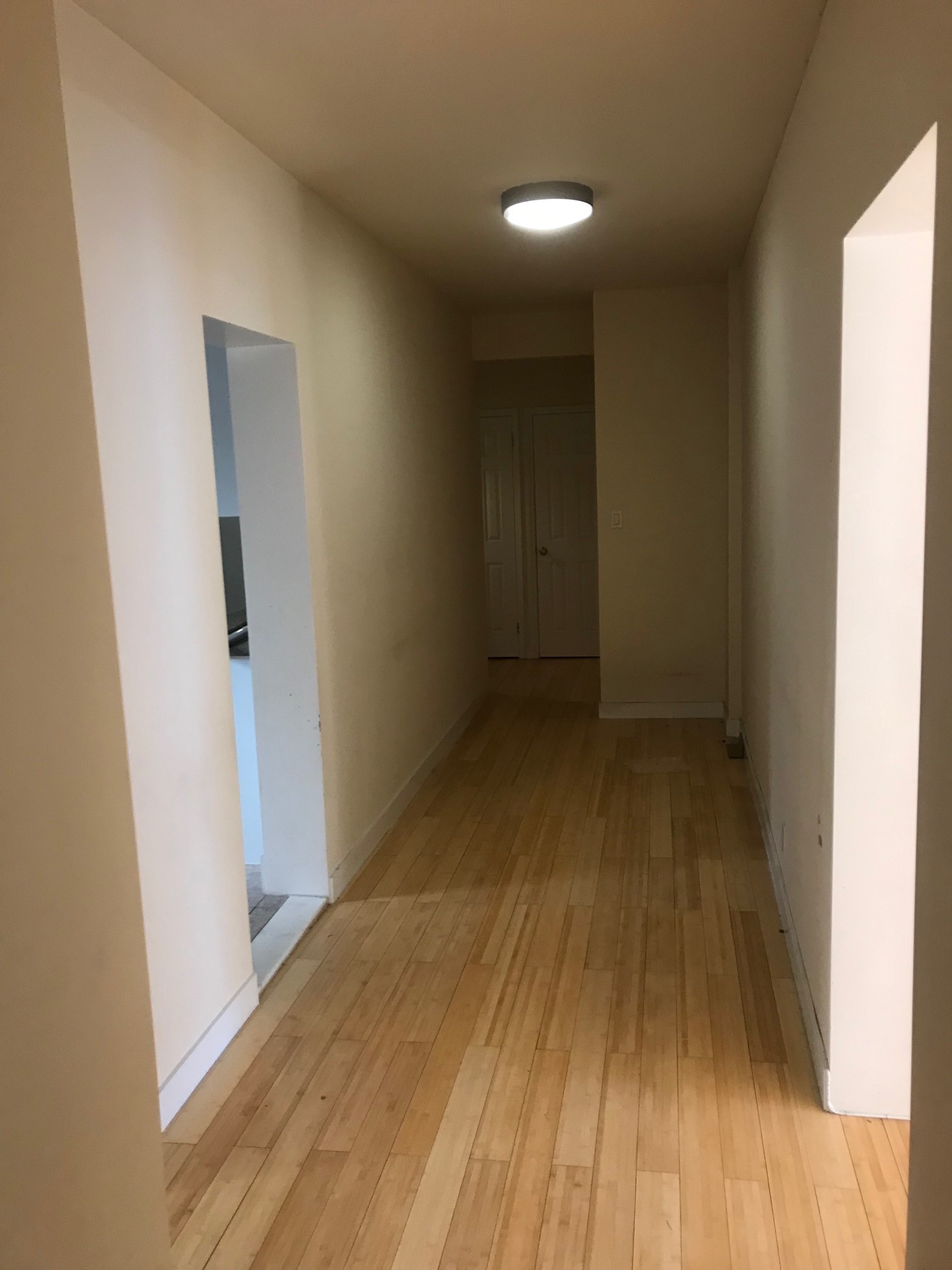 Apartment Metropolitan Ave  Queens, NY 11415, MLS-RD2806-5