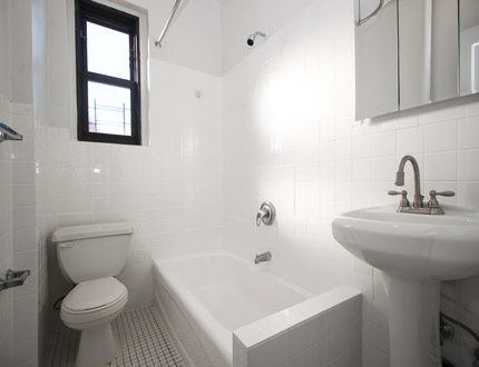 Apartment 165th Street  Queens, NY 11354, MLS-RD2836-7