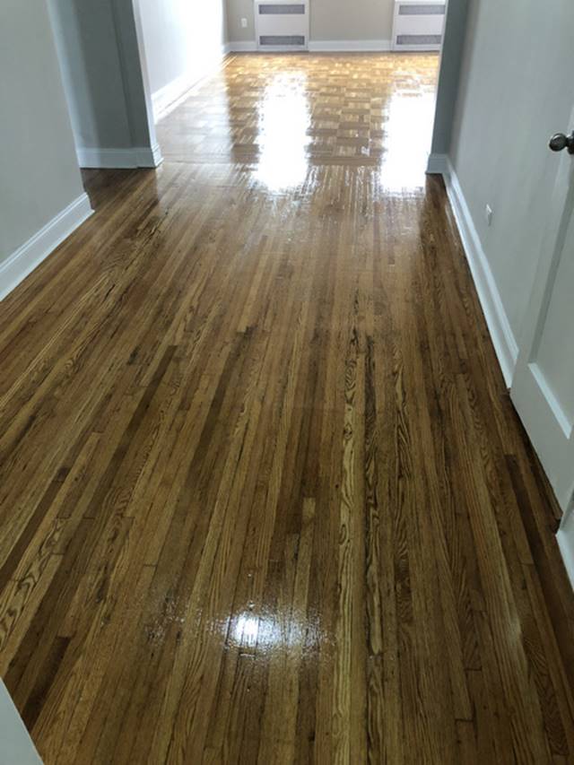 Apartment Hampton Street Queens, NY 11373, MLS-RD2858-5