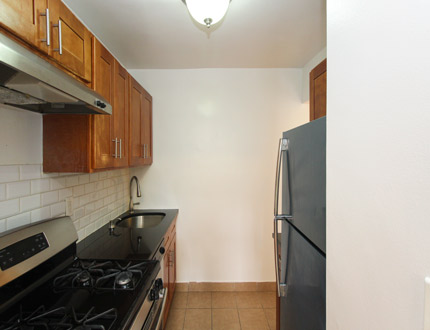 Apartment Parsons Blvd Queens, NY 11354, MLS-RD3018-2