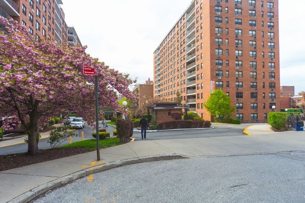  67th Avenue  Queens, NY 11374, MLS-RD4560-3