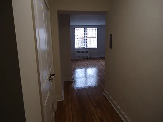 Apartment Hoover Avenue  Queens, NY 11435, MLS-RD4672-4