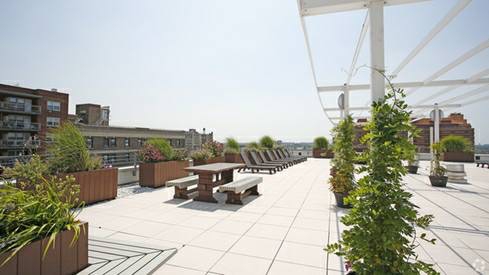 Apartment 89th Avenue  Queens, NY 11432, MLS-RD4683-5