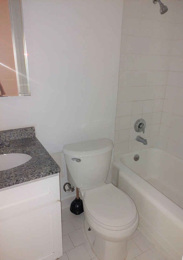 Apartment 67th Avenue Queens, NY 11374, MLS-RD4687-10