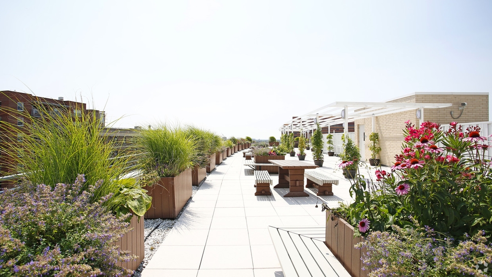 Apartment 89th Avenue Queens, NY 11432, MLS-RD4765-4