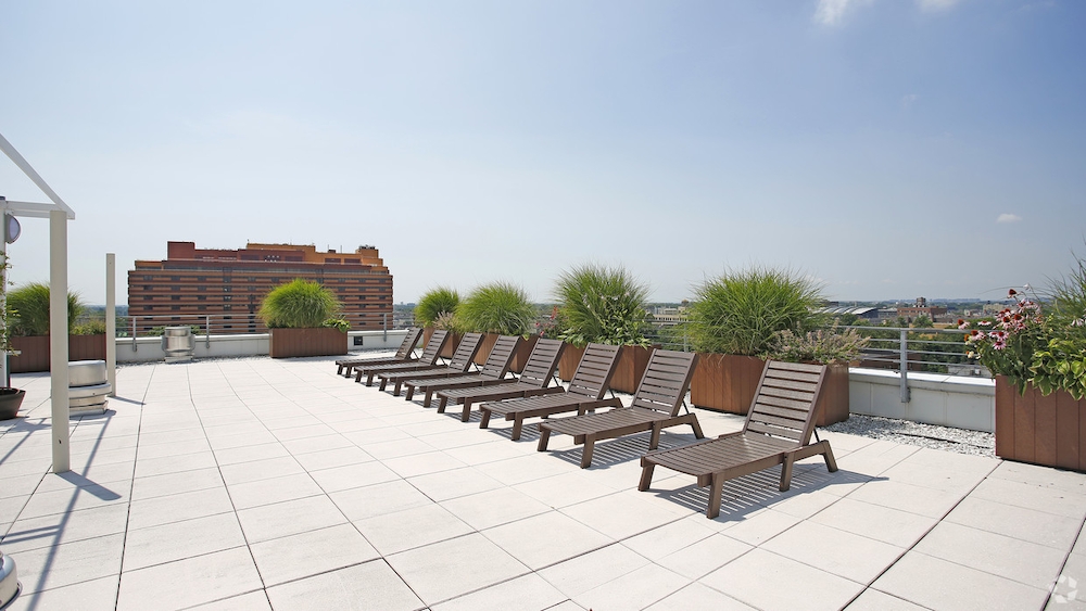 Apartment 89th Avenue Queens, NY 11432, MLS-RD4781-4