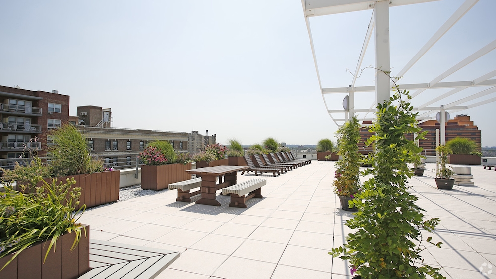 Apartment 89th Avenue Queens, NY 11432, MLS-RD4781-6