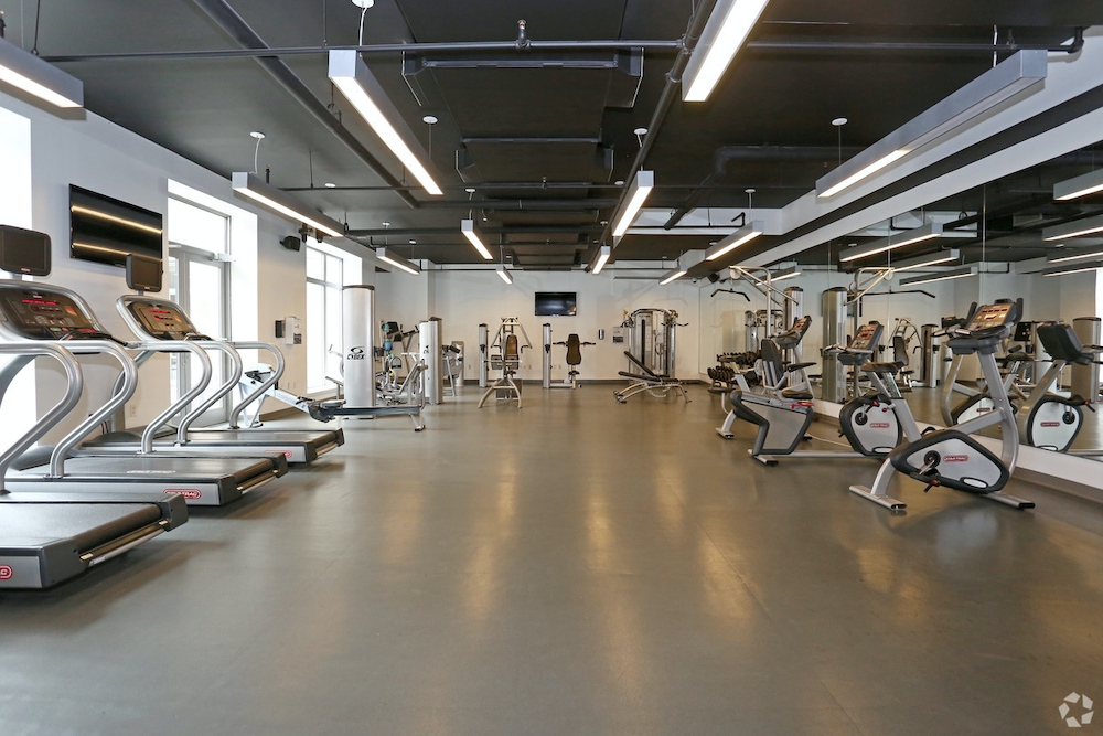 Apartment 89th Avenue  Queens, NY 11432, MLS-RD4974-4