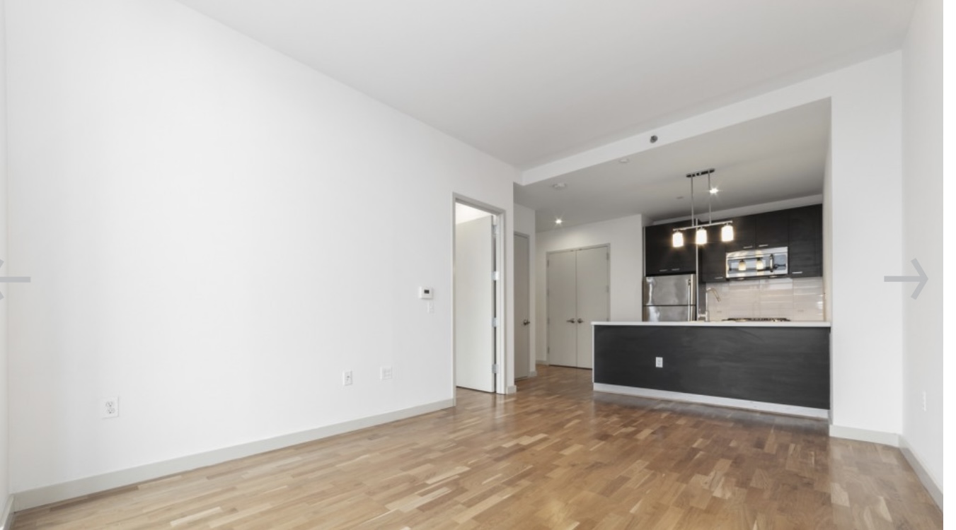 Apartment 41st Avenue  Queens, NY 11101, MLS-RD5042-3