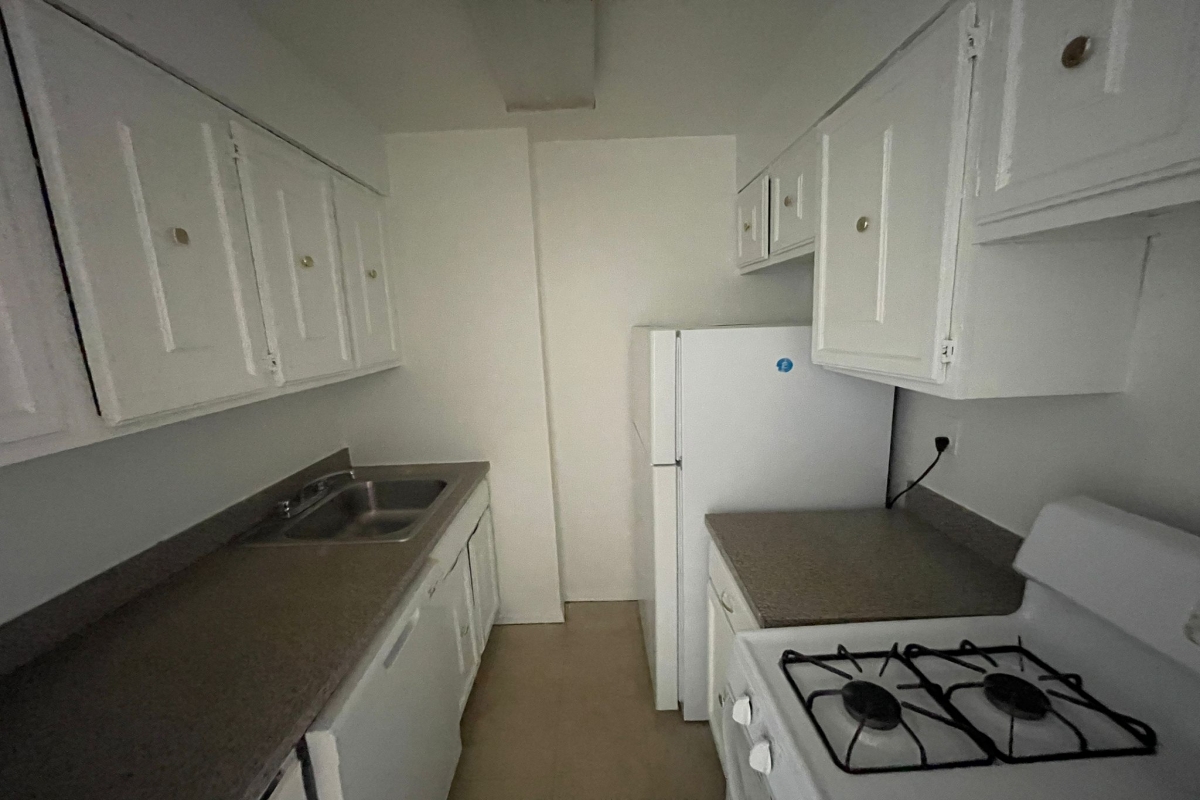 Apartment 98th Place Queens, NY 11374, MLS-RD5085-11