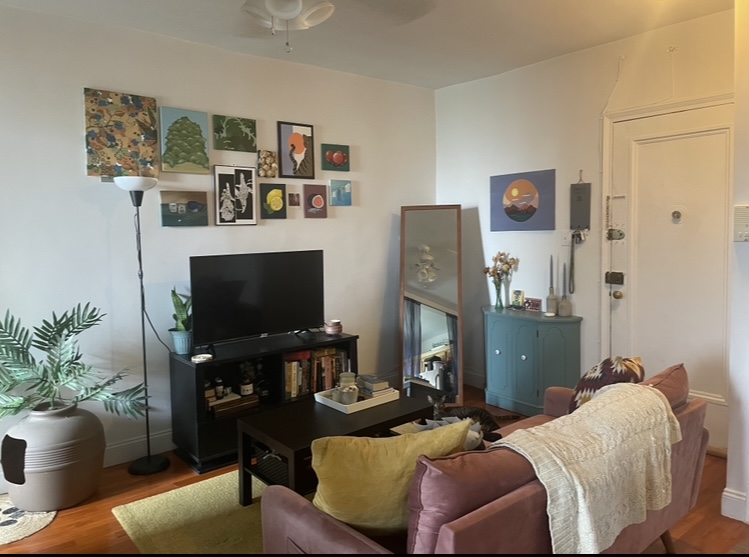 Apartment 67th Road Queens, NY 11375, MLS-RD5160-4