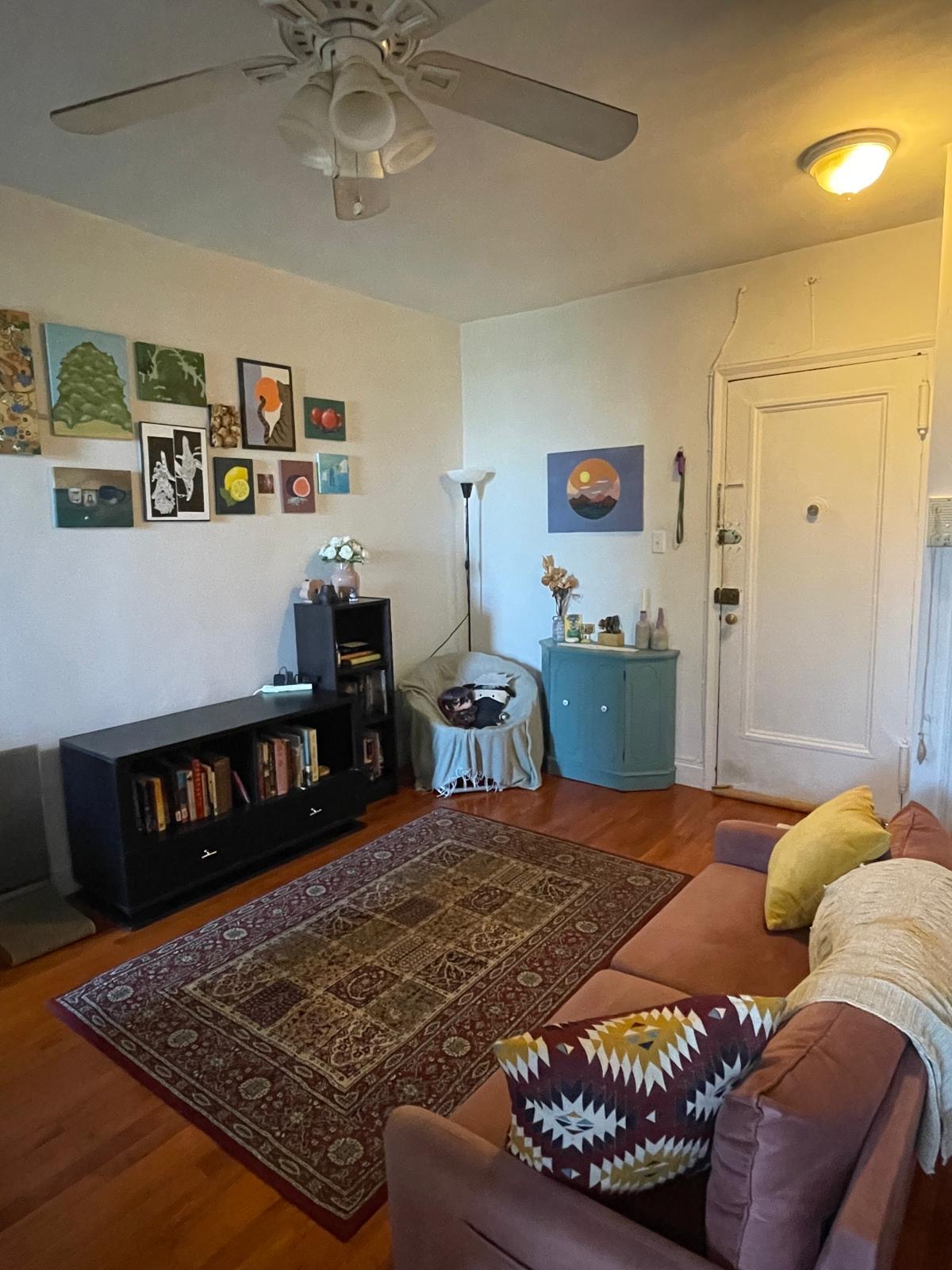 Apartment 67th Road Queens, NY 11375, MLS-RD5166-7