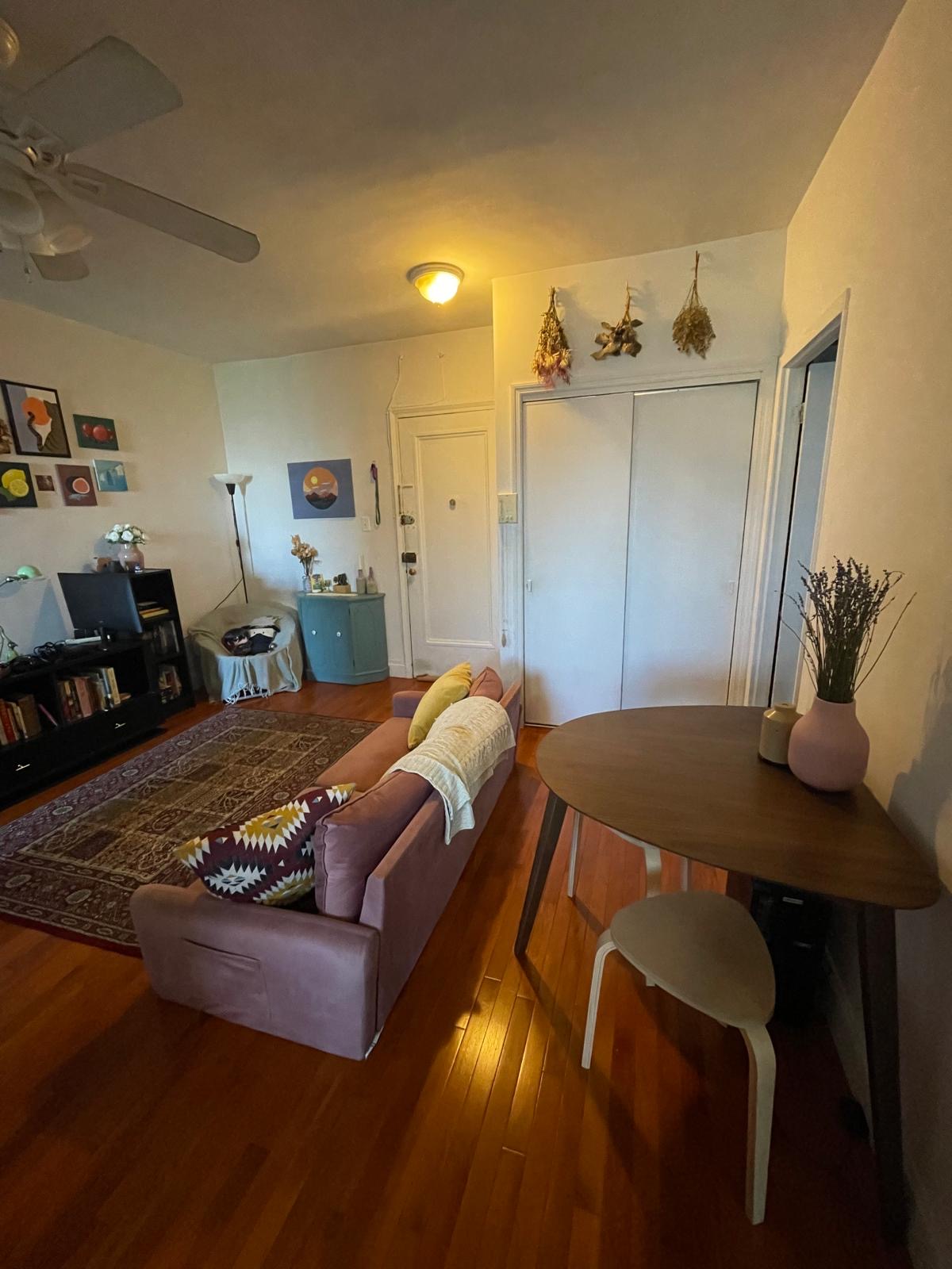 Apartment 67th Road Queens, NY 11375, MLS-RD5166-13