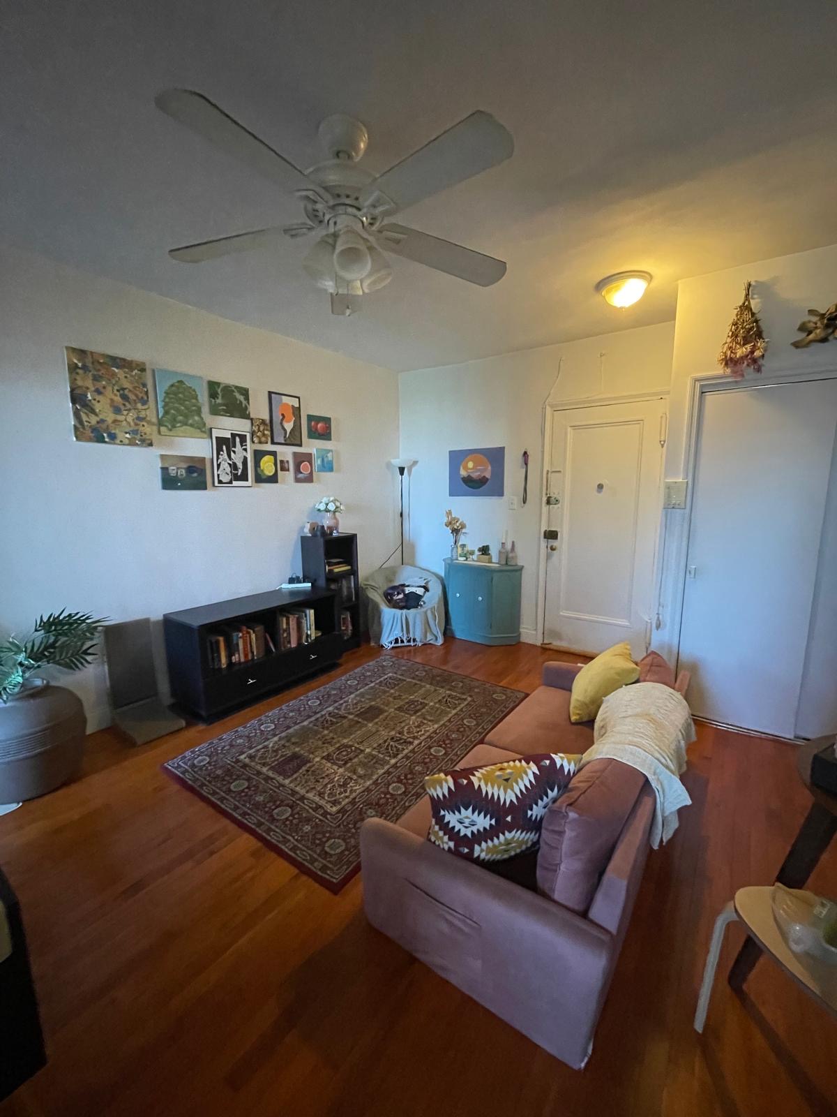 Apartment 67th Road Queens, NY 11375, MLS-RD5166-14