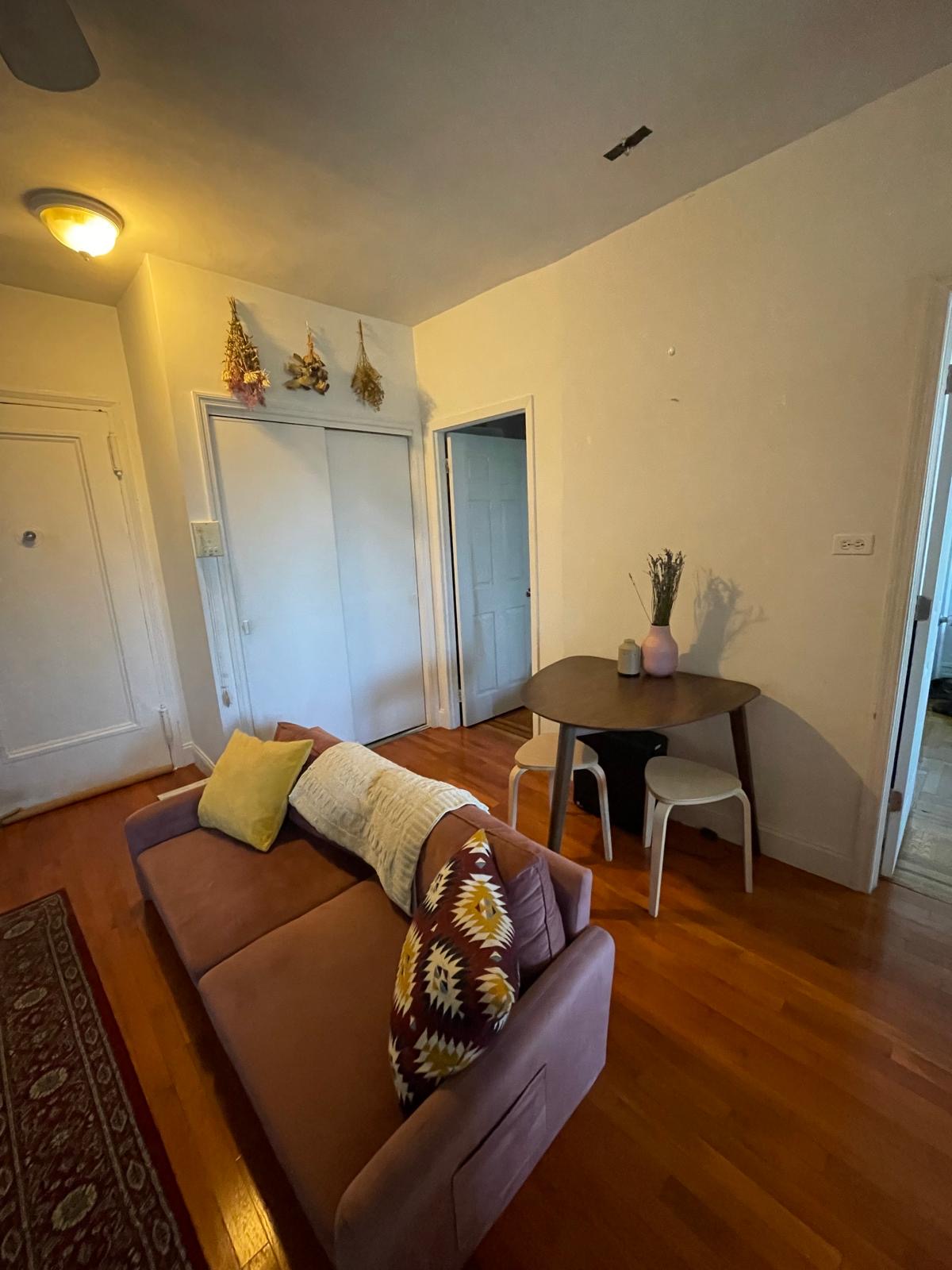 Apartment 67th Road Queens, NY 11375, MLS-RD5166-15