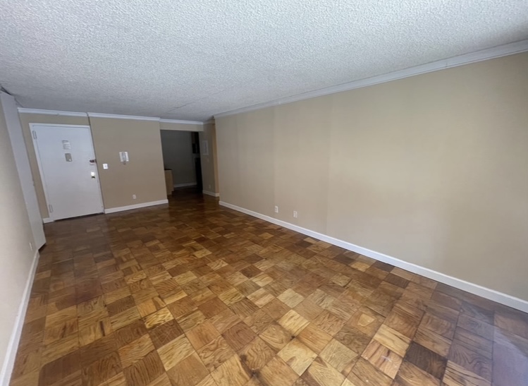 Apartment 34th Avenue Queens, NY 11354, MLS-RD5207-18