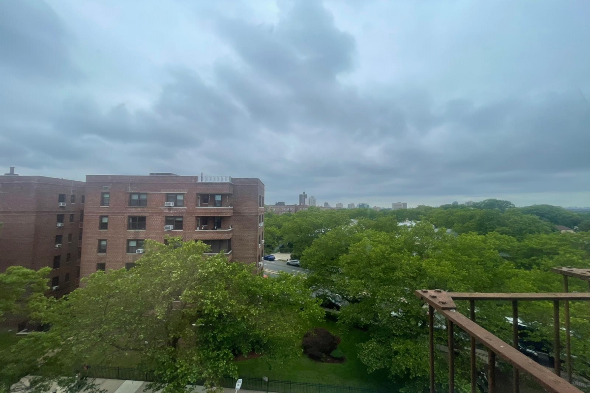 Apartment Hoover Avenue  Queens, NY 11435, MLS-RD5330-17