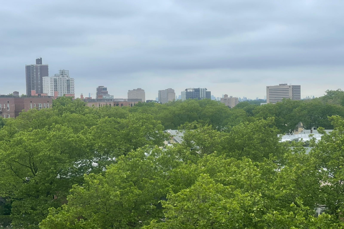 Apartment Hoover Avenue  Queens, NY 11435, MLS-RD5330-18