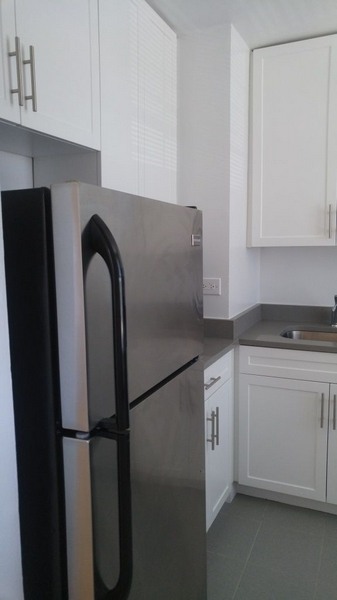 Apartment 38th Street Long Island, NY 11104, MLS-RD5475-2