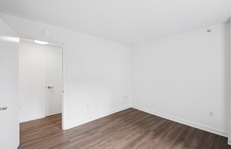Apartment 89th Avenue  Queens, NY 11432, MLS-RD5513-5