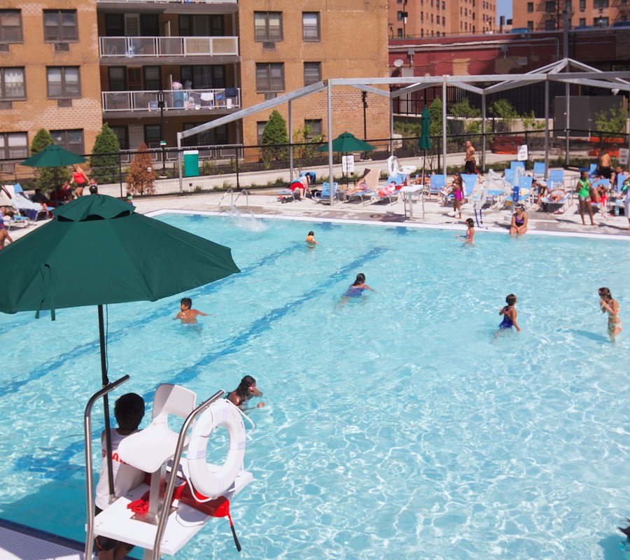 Apartment Horace Harding Expwy  Queens, NY 11368, MLS-RD5536-8