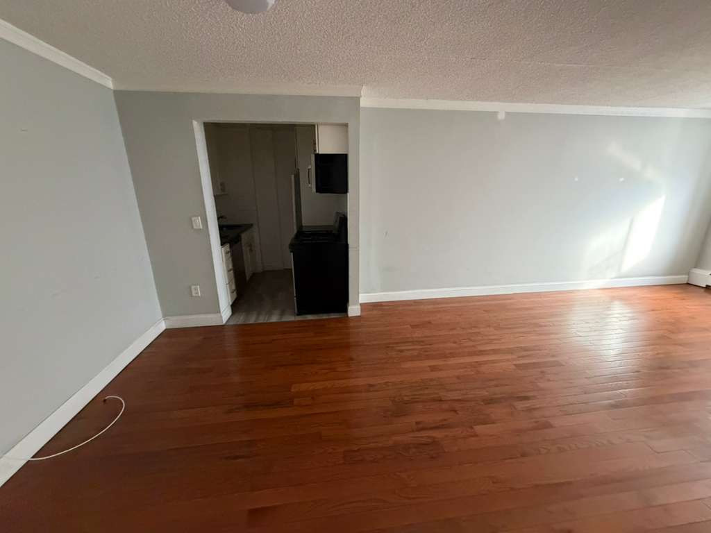 Apartment 98th Place  Queens, NY 11374, MLS-RD5542-12