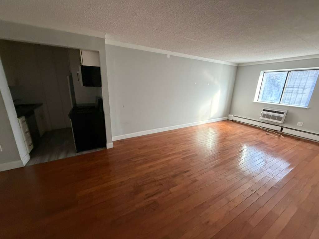 Apartment 98th Place  Queens, NY 11374, MLS-RD5542-13