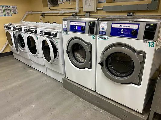  102nd Street  Queens, NY 11374, MLS-RD5596-19