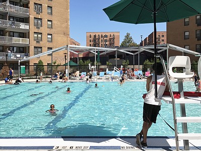 Apartment Horace Harding Expwy Queens, NY 11368, MLS-RD5763-2