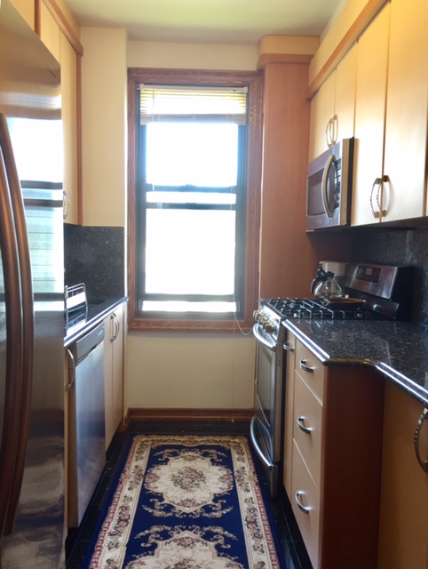 Apartment 64th Road  Queens, NY 11374, MLS-RD897-15