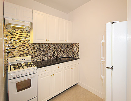 Apartment 139th Street  Queens, NY 11435, MLS-RD1057-8