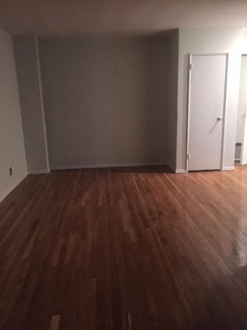 Apartment 84th Drive Queens, NY 11435, MLS-RD1058-4